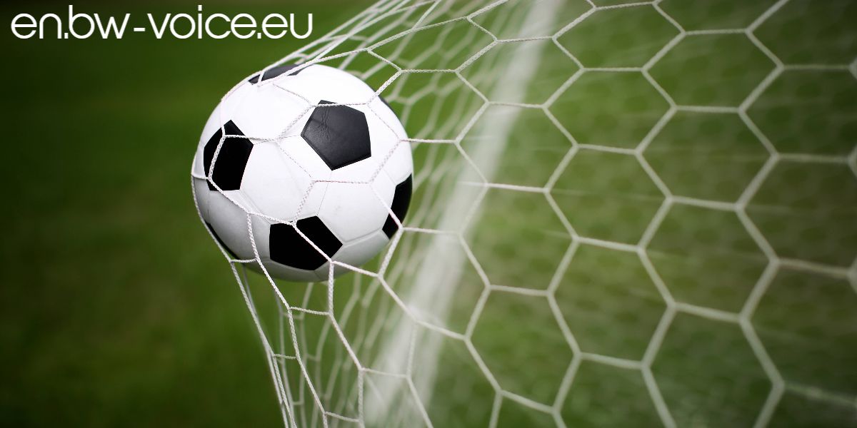 en.bw-voice.eu